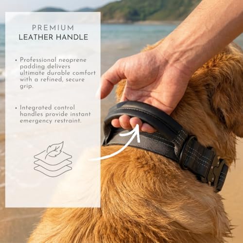 Dog Collar, Case Compatible with AirTag + Leash, Cobra Buckle, Padded (S)