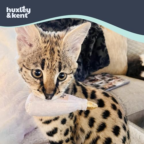 Huxley & Kent Plush Crinkle Catnip Cat Toy, Toto's Pawdka