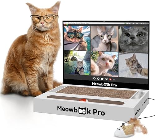 Cat Scratcher Laptop Cat Toy with 'Mouse' Jingle Ball, Stickers