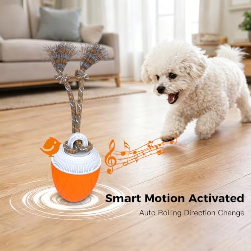 Interactive Dog Ball Toy for Medium & Large Dogs, Automatic Moving Dog Toy with Bird Sounds and Rope, USB Rechargeable Smart Ball with Fast & Slow Modes, 500mAh Dog Enrichment Toy