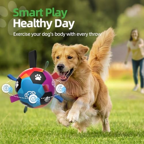 QDAN Dog Toys for Large Dogs, Durable Dog Balls for Aggressive Chewers