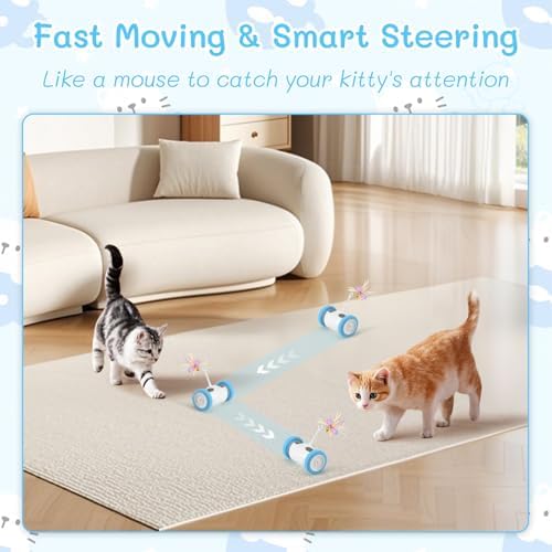 Interactive Cat Toy, Kitten Toy for Indoor Cats, Automatic Cat Toy with LED Lights, Cat Mouse Toy, USB-C Rechargeable (NOT for Carpet)