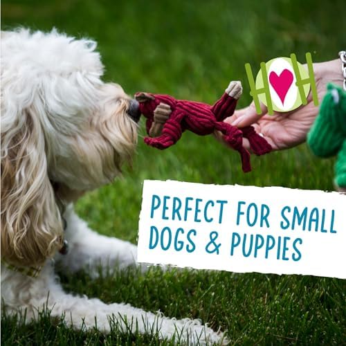 HuggleHounds Knottie Plush Dog Toy - Dog Stuffed Animal Toy, Squeaky Puppy Toys, for Small & Medium Dogs, Durable Plush to Keep Them Busy - Wee Knotties Variety Pack (6 Count)
