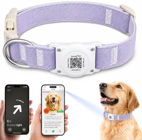 AirTag Dog Collar with QR Code ID, Collar with Air Tag Holder,Purple, XL