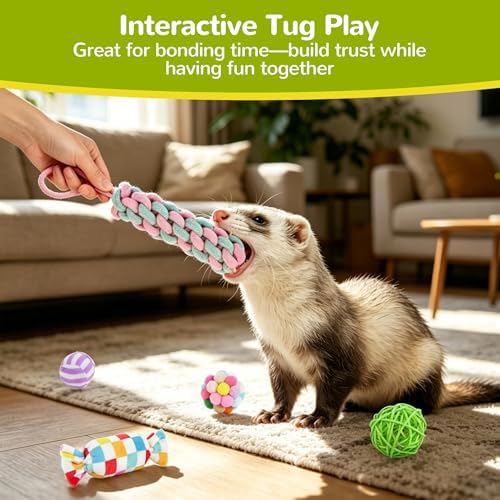 20 Pack Ferret Toys, Ferret Chew Toys, Interactive Toys with Bells