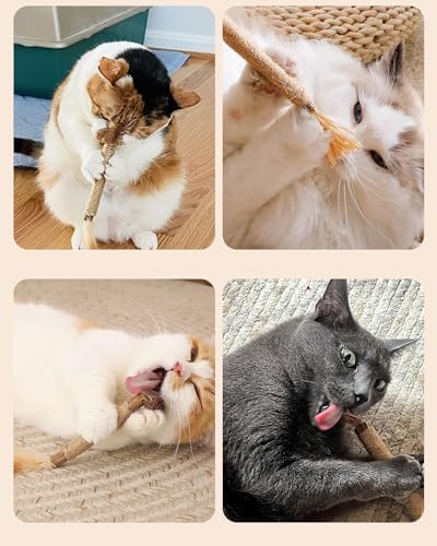 Tocirelo Silvervine Sticks with Feathers for Indoor Cats, Kitten Chew Toys