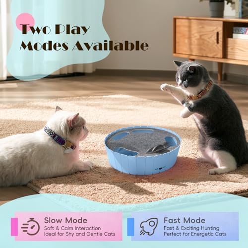 Pawaboo Interactive Cat Toy with Running Mouse, Automatic Track Kitten Toy | Electronic Motion Cat Toy for Indoor Cats, Pop and Play Hide Seek Cats Toys Hunting Mouse for Kitty Play Exercise, Blue