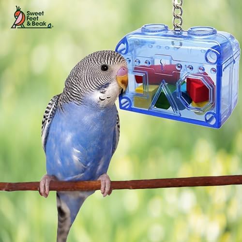 Treasure Chest Toy - Puzzle & Foraging Toys for Birds - Durable Plastic Bird Foraging Box w/ Colorful Wooden Shapes - Parrot Puzzle Toys - Small & Large Bird Toys for Cockatiels, Lovebirds & More