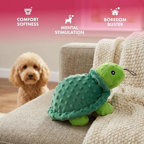 petlou Sqeaky Plush Durable Dog Toys with Multi-Colour,Dotty Friends for Dog (12 Inch Dotty Friends Turtle)