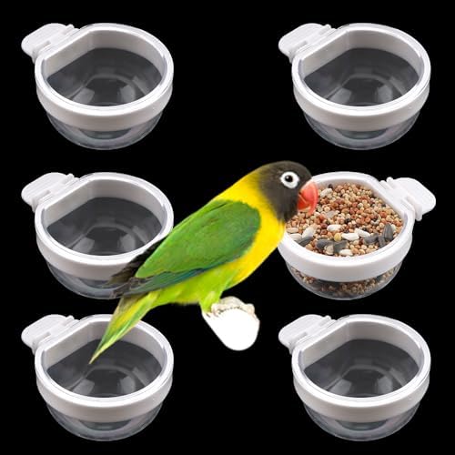 6 Pack Detachable Transparent Bowl Plastic Food Cup Convenient Hanging Seed Water Feeder for Parrot Canary Finch Small Size Bird