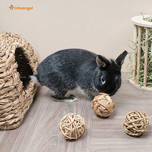Niteangel Natural Chew Activity Toys: Meets Small Pet Chewing Needs & Mood