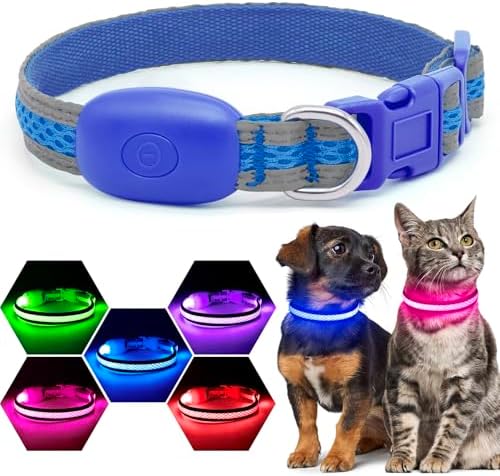 Flashseen LED Dog Collar, Light Up Dog Collar USB Rechargeable, Blue, XS
