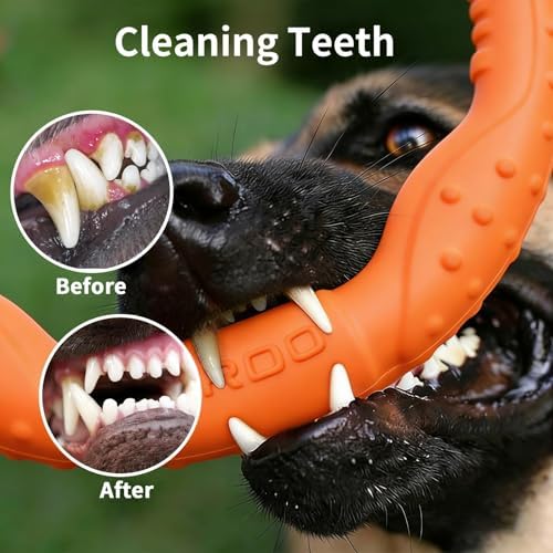 LaRoo Floating Dog Pool Toy, Fetch & Ring Tug Toy - Teething Relief, Catch, Water Fun, Pet Training Outdoor Durable Chew Toys for Small Medium Dogs (Orange Ring,8.6'')