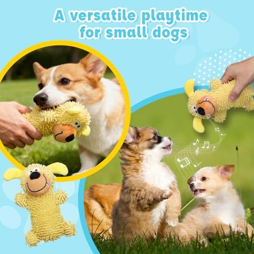 2 Pack Squeaky Dog Chew Toys for Small Animals Dogs Puppy Teething