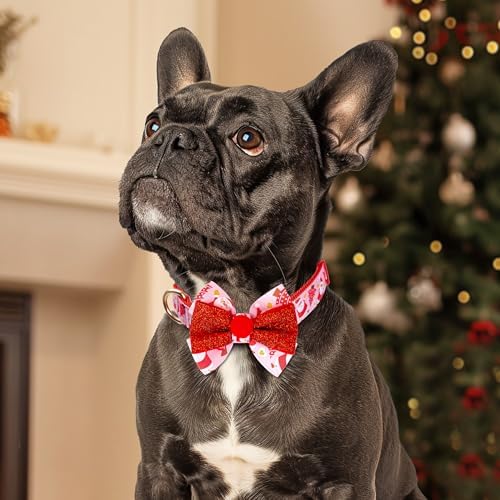 azuza Christmas Dog Collar Santa Print Xmas Dog Collars with Removable Red and Pink Bowtie, Adjustable Dog Collar Accessories for Puppy and Small Dogs