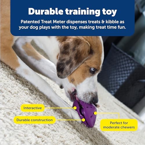 PetSafe Busy Buddy Twist 'n Treat Dispensing Dog Toy, Small | Twist Halves Apart for Quick Treats or Closer for a Challenge, Patented Treat Meter, Top-Rack Dishwasher Safe