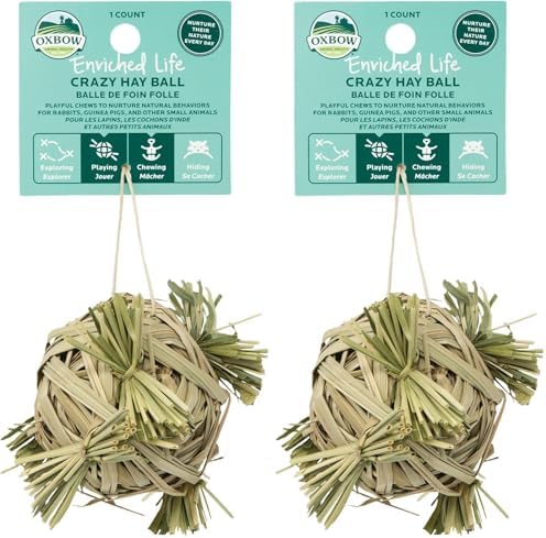 Oxbow Enriched Life Crazy Hay Ball, Rabbit Toys, Guinea Pig Toys, Enrichment for Bunny, Guinea Pig, Hamster, Rabbit, Chinchilla, Rat, Chinchilla Cage Accessories, Small Pet Accessories for Cage