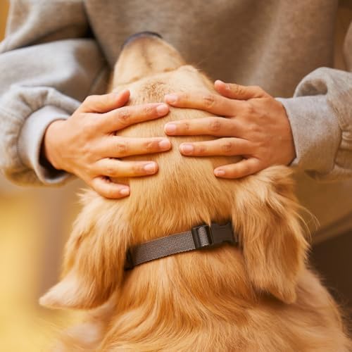 Additional E Collar Receiver for Dog Training, Compatible with Remote, Multi Dog Control, Waterproof Shock Vibration Beep Boost Modes, Adjustable Electric Collar for Large Medium Small Dogs