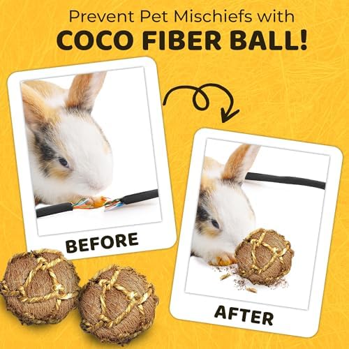 SunGrow Assorted Rabbit & Cat Chew Balls, Teething Activity Toy for Pocket Pets, Improves Dental Health, Environment Friendly, Stress Reliever (Coconut Fiber, 3 Pcs)