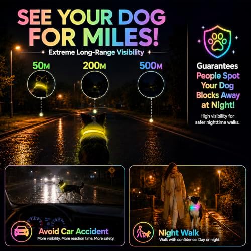 Multicolor LED Dog Collar USB-C Rechargeable, Light Up Dog Collar, Rainbow Gradient Glowing Dog Collar with 4 Light Modes, Adjustable Candy Mesh Pet Collar(Yellow, Small)