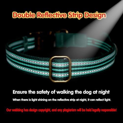 Airtag Dog Collar, Reflective Collar w Airtag Holder for Large Dogs(Green)