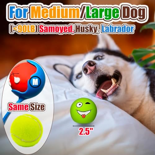 HOLYSTEED Latex Squeaky Dog Balls for Medium Breeds, 2.5" Round Squeak Toys