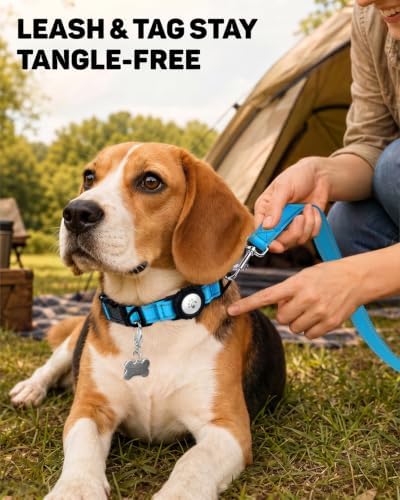 Padded Dog Collar with Waterproof Holder Compatible with Airtag