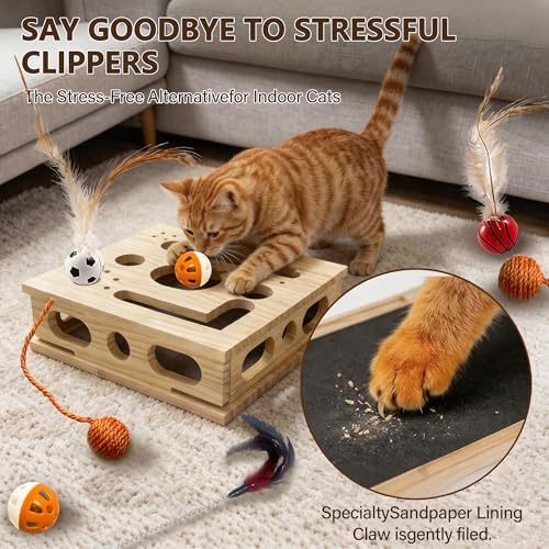 2026 New Model Cat Nail File Enrichment Box, Square