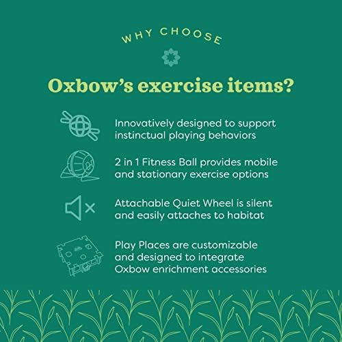 Oxbow Run & Rattle, Rabbit & Guinea Pig Chew Toy, Bunny Enrichment Toy