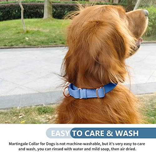 Soft Leather Martingale Dog Collar - Adjustable Rose Gold Limited Slip Collars [Easy to Clean], Stylish Durable Heavy Duty Nylon No Pull Training Collar for Small Medium Large Dogs L Blue Purple