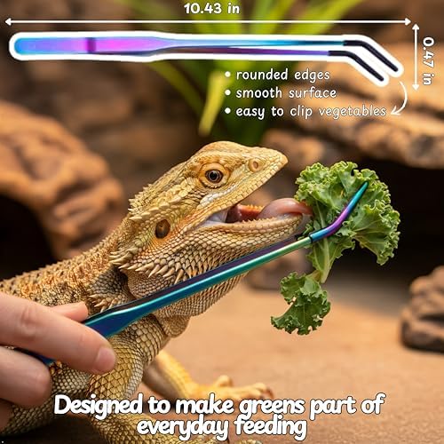 Bearded Dragon Enrichment Toys Feeding Tongs Accessories, Veggie Feeder Ball and Feeding Tongs with Rubber Tip, Greens Training Kit for Reptile Lizard Gecko, Reptile Tank Accessories (Green)