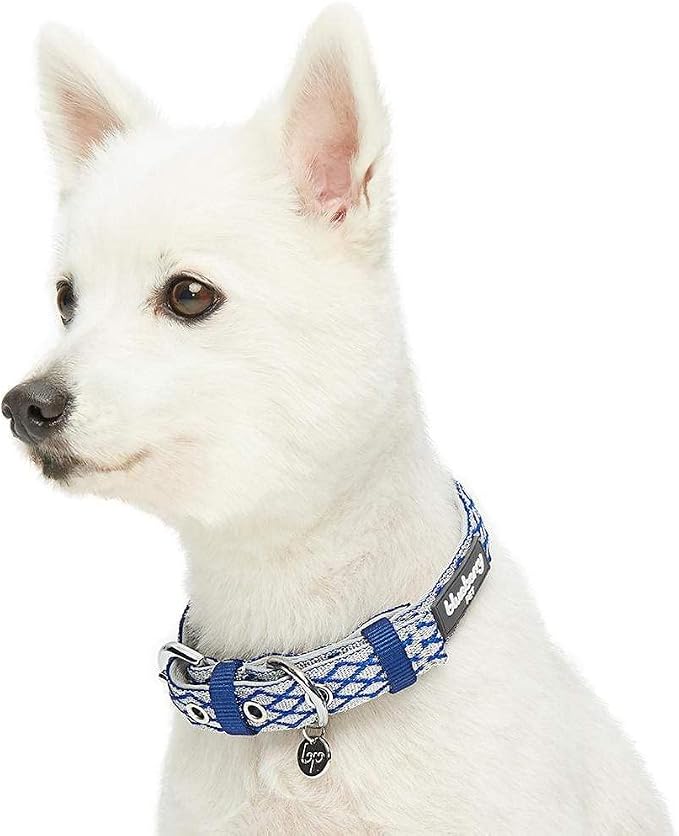 Blueberry Pet Diamond Pattern Adjustable Neoprene Padded Dog Collar with Metal Buckle - Royal Blue, Neck 9-12.5", for Small Breed