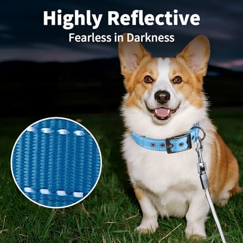 Segarty Reflective Heavy Duty Dog Collar for Medium Dogs, Adjustable Wide Soft Comfortable Breathable Neoprene Padded Nylon Collar with Metal Buckle for Medium Small Breeds (M, Light Blue)