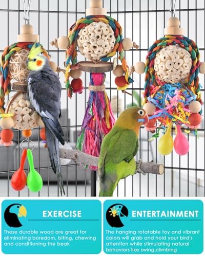 Bissap 3PCS Bird Parrot Foraging Shredder Hanging Toys Sola Balls with Sand Hammer for Small Parrots Parakeets Conures Cockatiels Love Birds Cage Toy