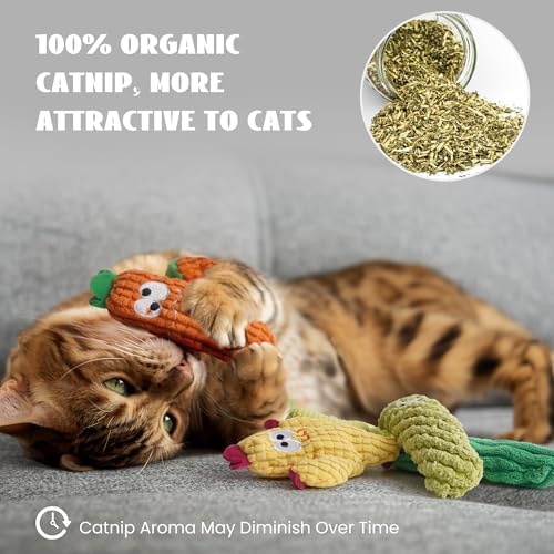 Cactus Catnip Toys, 100% Pure Organic Catnip-Filled Toys Without Cotton