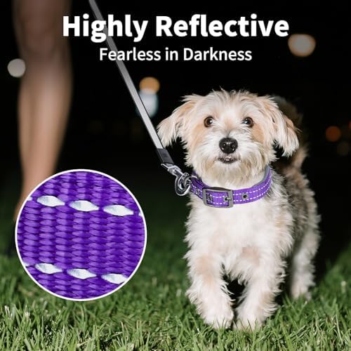 Segarty Reflective Small Dog Collars for Female Dogs neck 10.8-14in, Adjustable Wide Soft Comfortable Breathable Neoprene Padded Nylon Collar Heavy Duty Metal Buckle for Puppy Small Breeds (S, Purple)