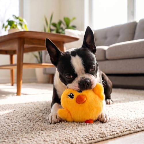 KONG Spring Snuzzles Kiddos Chick Dog Toy – Soft & Plush Squeaky Toy for Small Dogs