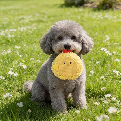 Dog Toys Tough Stuffed Squeaky Interactive Plush Chew Pet Toys