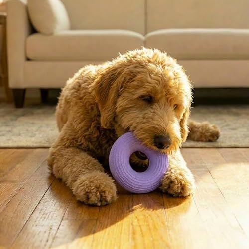 Flex-Force Ring Dog Toy for Fetch & Chew, Solid Core & Floats in Water, Vanilla-Roast Scent for Sensory Play, Power Chewers, All Breed Sizes, 4.6"
