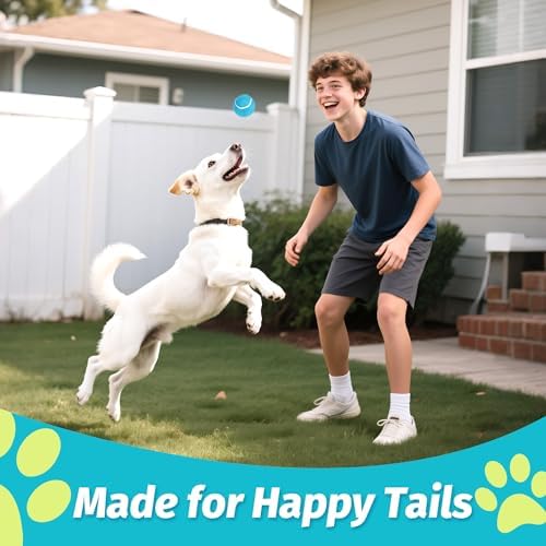 PrimePets Squeaky Dog Tennis Balls 12 Pack, 2.5” Durable High-Bounce Tennis Balls for Dogs, Dog Ball for Fetch & Training, Outdoor Interactive Dog Toy Ball for Small and Medium Dogs
