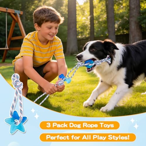 3 Pack Dog Chew Toys for Aggressive Chewers, Multiple Textures & Rope, ndestructible Tough Durable Interactive Dog Toys, Puppy Chew Toys for Teething， Blue Star&Bone&Small Circle