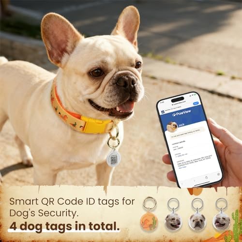 French Bulldog Polyester Dog Collar and Leash Set with Bowtie, Smart & Safe Design, Includes 1 ID Tag + 3 Frenchie Dog Tags for Instant Location & 2 Sticker Sheets, Stylish Gift Set, M