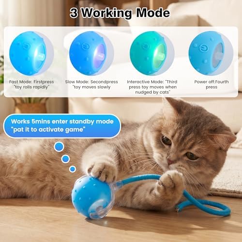 ZUAMEGUPetToy, Interactive Cat & Dog Ball Toy with Bird Sounds, Rechargeable 360° Smart Auto-Rolling Electric Pet Ball Toy (with Leash), Suitable for Indoor & Outdoor Use (Blue)