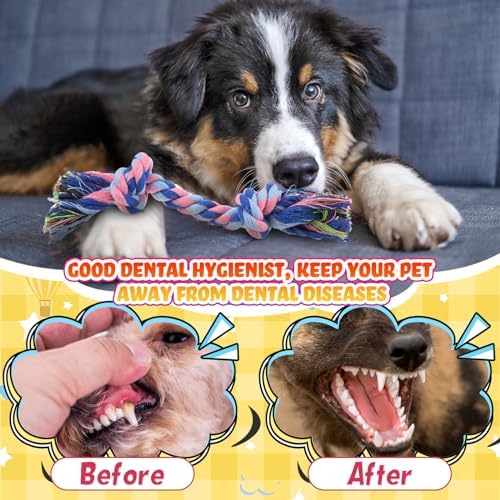 RoundFunny 100 Pcs Knot Rope Dog Toys Multi Color