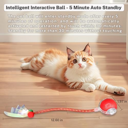 Speedy Tail 3.0 Interactive Toy Ball, 2 Tails for Cats & Dogs | cat chase toy|chirping bird cat toy|Adjustable sound level|300 mA high-capacity battery