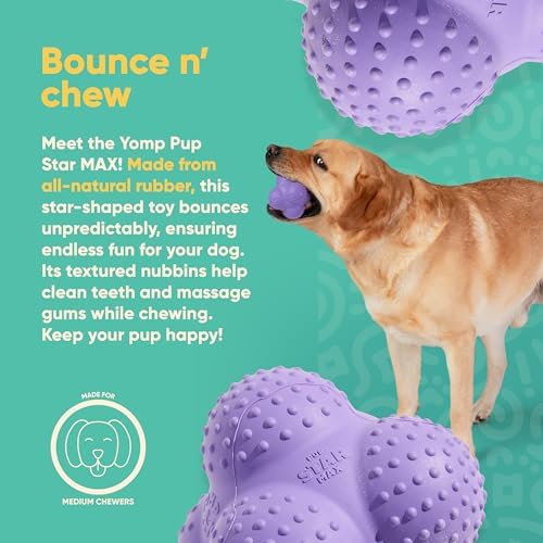 Yomp PupStar MAX Dog Toy – Star-Shaped, Bouncing Ball with Nubbins for Dental Health, Dishwasher Safe, Fun Bounce Path, Made of Non-Toxic, All-Natural Rubber