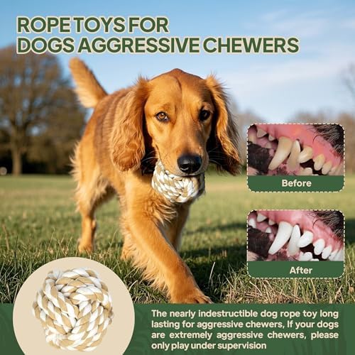 TwoEar Dog Rope Toys for Large Dogs - 3 Pack Dog Chew Toys