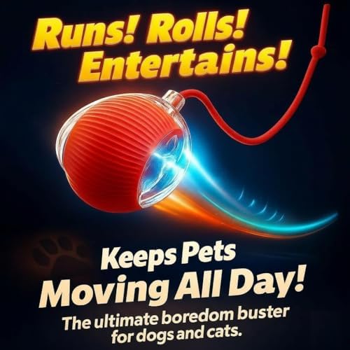 2026 New 2Pack Cat Ball Kitten Toys for Indoor Interactive Kitty Ball Toy Speedy Tail 360° Automatic Rolling Electric Moving Rechargeable,Smart Pet Chase with Rope for Bored Cats, Red Color VALUE PACK
