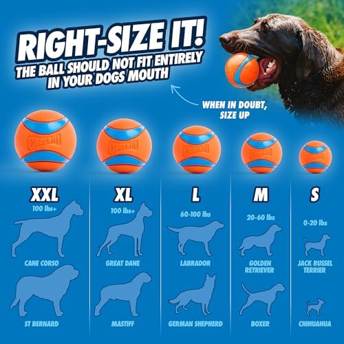Chuckit! Ultra Ball Dog Toy, Size XXL, 4-in Diameter, for Dogs 100+lbs
