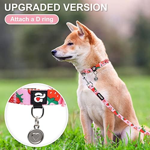azuza Fruit Dog Collar and Leash Set, Collar Nylon and Matching Leash, Great Option for Small Medium Large Dogs, Pink, S (Neck: 11"-16")